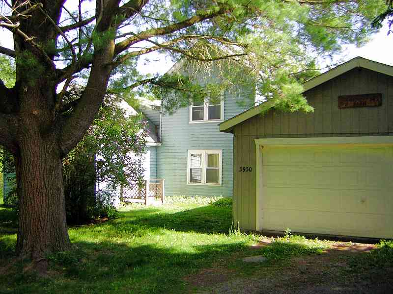 My house in spring