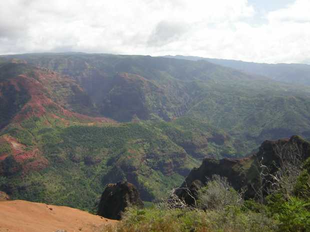 A red earth slope and black lava outcroppings in the foreground emphasize the depth of the drop into the canyon, beyond which lush vegetation mostly covers the red mountains. A red earth slope and black lava outcroppings in the foreground emphasize the depth of the drop into the canyon, beyond which lush vegetation mostly covers the red mountains.