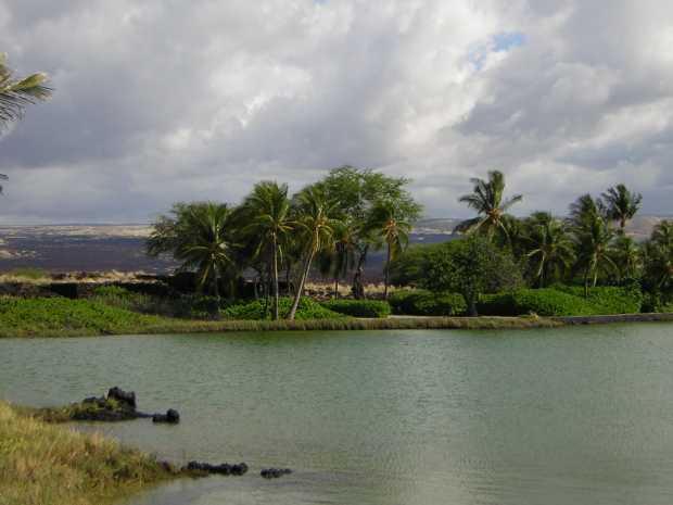 Behind a broad expanse of lightly rippled blue-green water, sculpted hedges and coconut palms only partially hide a vast black and tan desert plain Behind a broad expanse of lightly rippled blue-green water, sculpted hedges and coconut palms only partially hide a vast black and tan desert plain