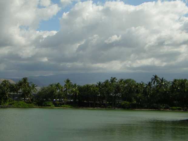 Blue-green water spreads from the foreground to a dense thicket of palms along the shore, behind which a huge, dark mountain rises ponderously under a heavy-clouded sky Blue-green water spreads from the foreground to a dense thicket of palms along the shore, behind which a huge, dark mountain rises ponderously under a heavy-clouded sky