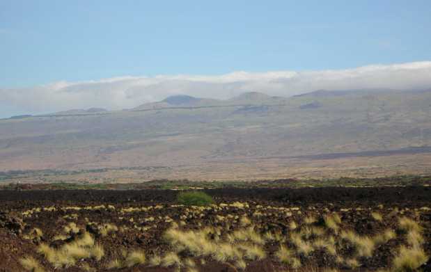 A rough brown and black rocky plain, dotted with tufts of dry grass, stretches before a broad tan and green highland rising majestically to distant forested peaks. A rough brown and black rocky plain, dotted with tufts of dry grass, stretches before a broad tan and green highland rising majestically to distant forested peaks.